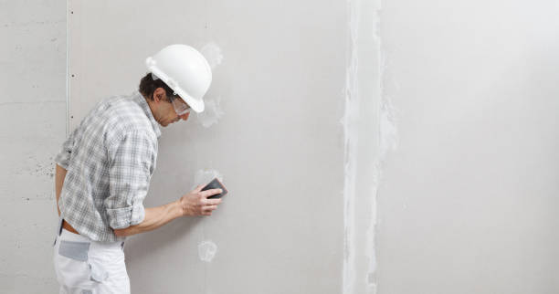 Best Mold Documentation for Insurance Claims  in Pamplico, SC