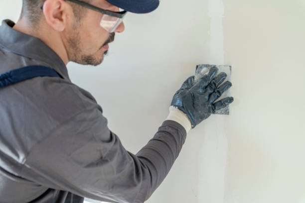 Best Biohazard Mold Removal  in Pamplico, SC