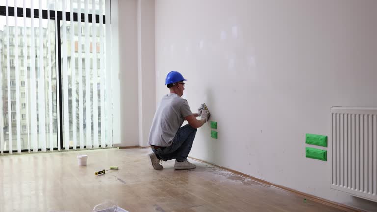 Best Post-Construction Mold Inspection  in Pamplico, SC