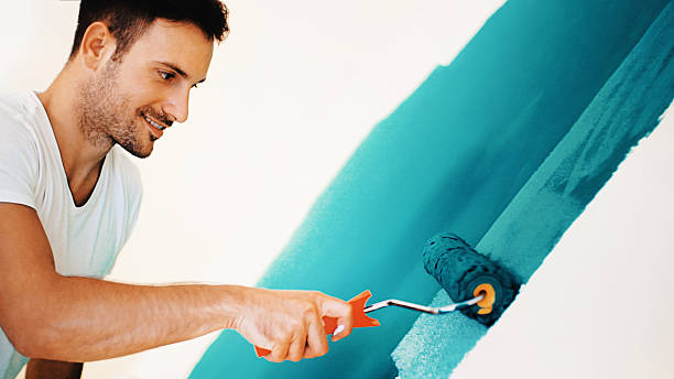 Best Water Damage & Mold Remediation  in Pamplico, SC